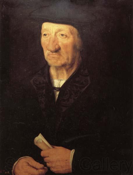Hans holbein the younger Portrait of an Old Man Spain oil painting art